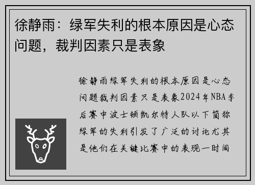 徐静雨：绿军失利的根本原因是心态问题，裁判因素只是表象