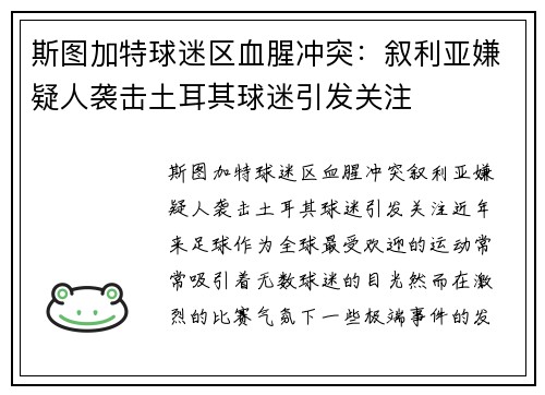 斯图加特球迷区血腥冲突：叙利亚嫌疑人袭击土耳其球迷引发关注