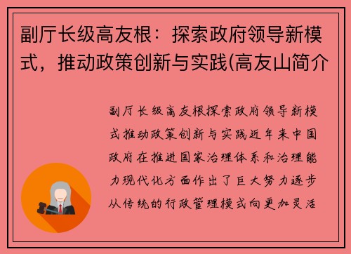 副厅长级高友根：探索政府领导新模式，推动政策创新与实践(高友山简介)