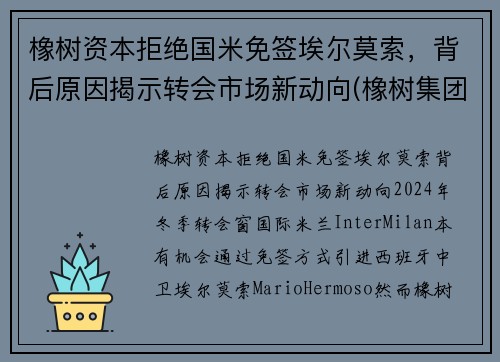 橡树资本拒绝国米免签埃尔莫索，背后原因揭示转会市场新动向(橡树集团)
